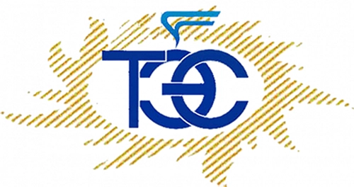 АО «Теплоэнергосервис»